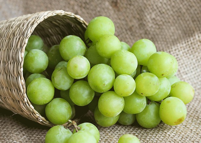 Nho xanh nhập khẩu không hạt giòn ngọt trái cây sạch cho cả nhà